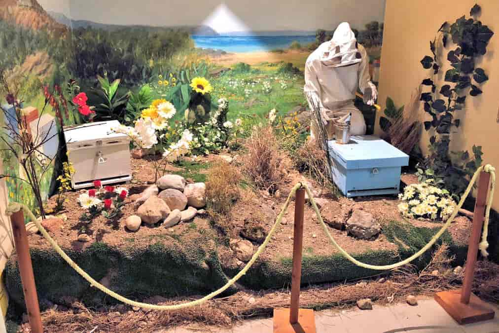 Musée des Abeilles