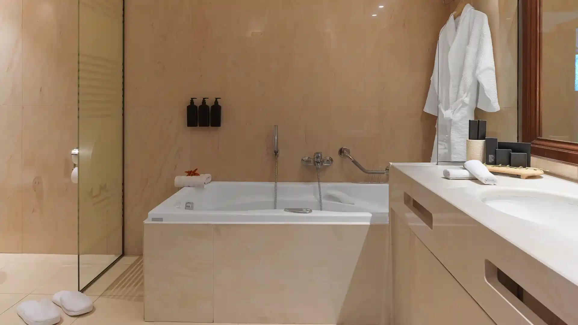 Suite Exécutive à une Chambre