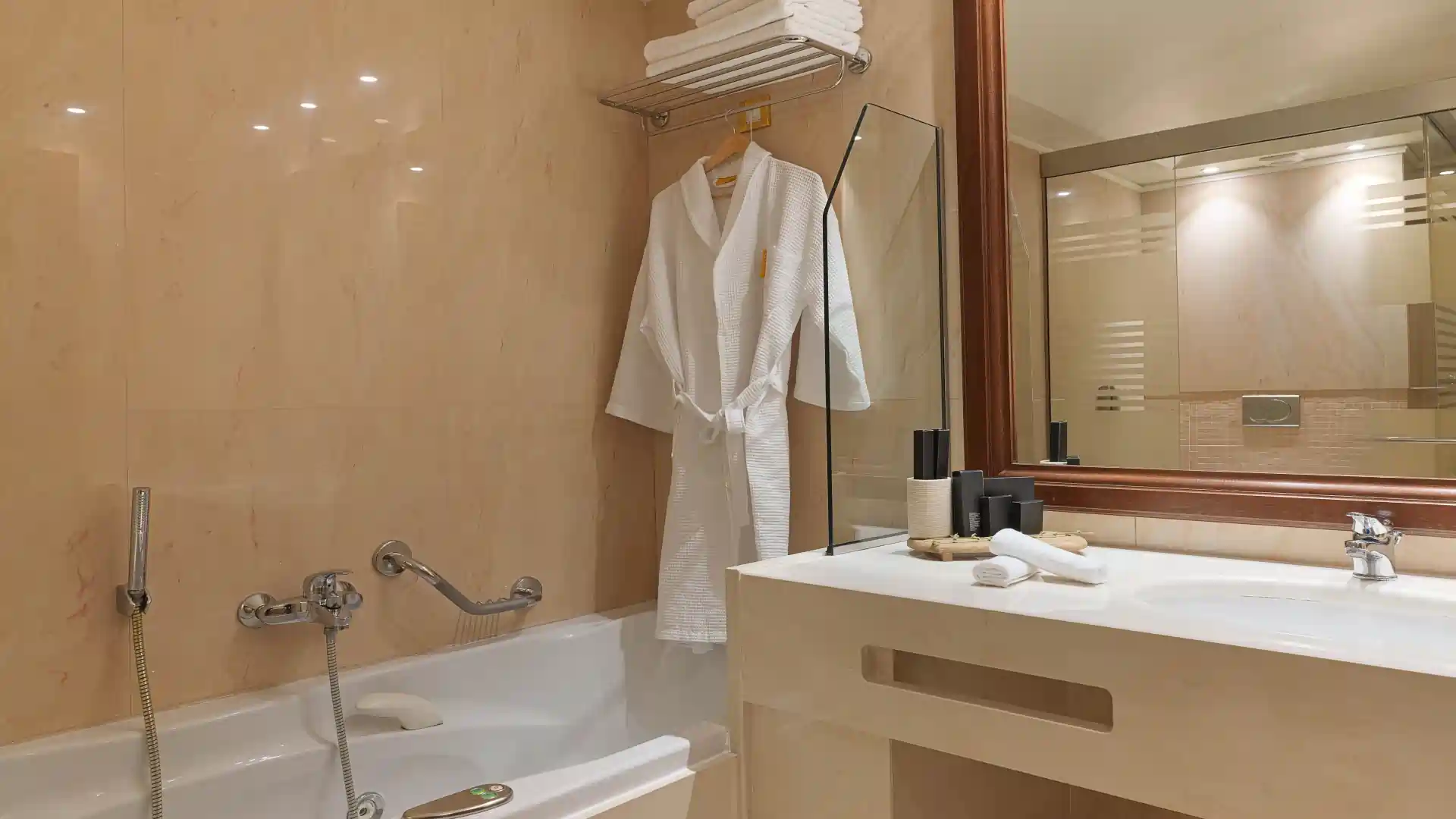 Suite Exécutive à une Chambre